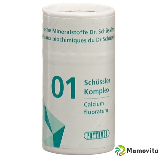 Phytomed Schüssler Komplex No 1 Tabletten Dose 300 Stück buy online