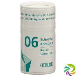 Phytomed Schüssler Komplex No 6 Tabletten Dose 300 Stück