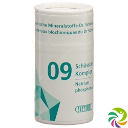 Phytomed Schüssler Komplex No 9 Tabletten Dose 300 Stück