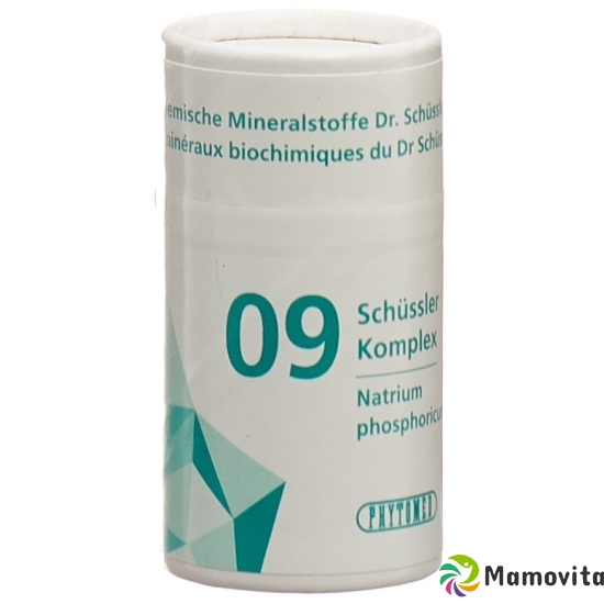 Phytomed Schüssler Komplex No 9 Tabletten Dose 300 Stück buy online