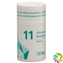 Phytomed Schüssler Komplex No 11 Tabletten Dose 300 Stück