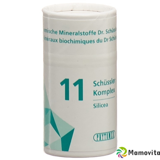 Phytomed Schüssler Komplex No 11 Tabletten Dose 300 Stück buy online