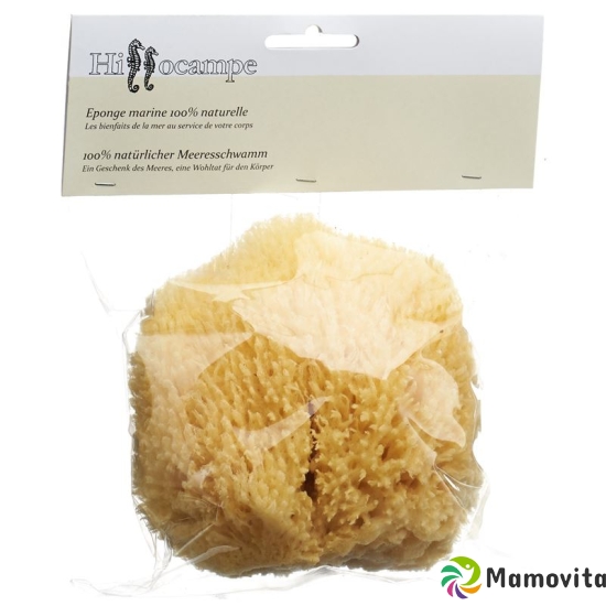 Hippocampal Natural Sponge 338 buy online