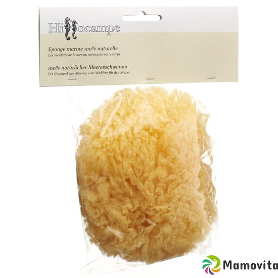 Hippocampal Natural Sponge 336 buy online