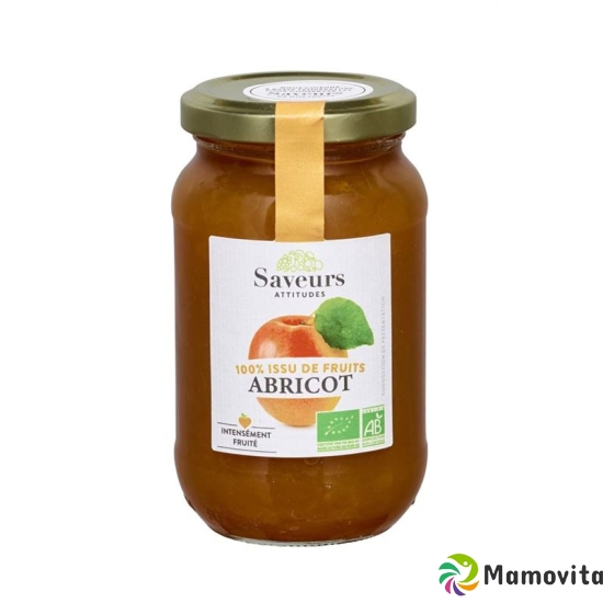 Saveurs Attitudes Konfitüre Aprikose Ss Bio 310g buy online