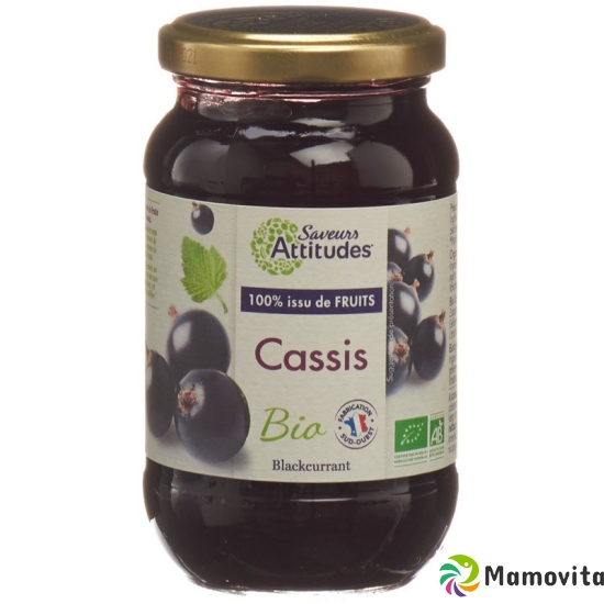 Saveurs Attitudes Konfitüre Cassis Bio 310g buy online