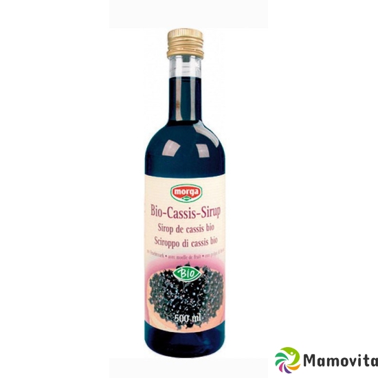 Morga Cassis Sirup M Fruchtmark Bio Akt 500ml buy online