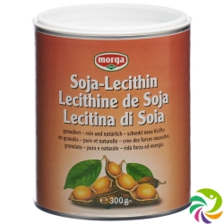 Morga Soja-Lecithin Dose 300g