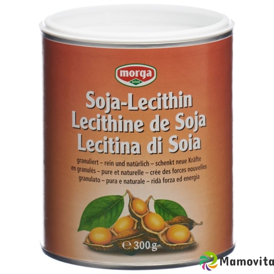 Morga Soja-Lecithin Dose 300g buy online