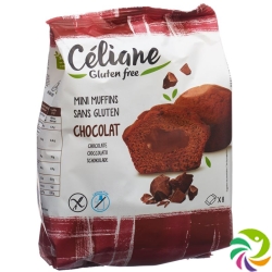 Alternis Moelleux Fondant Chocolat 210g