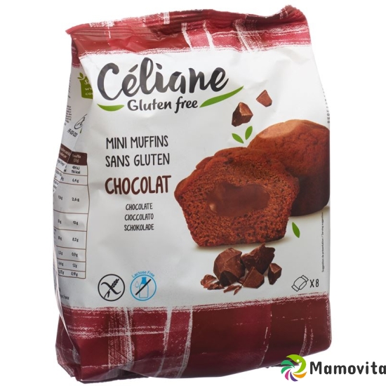 Alternis Moelleux Fondant Chocolat 210g buy online