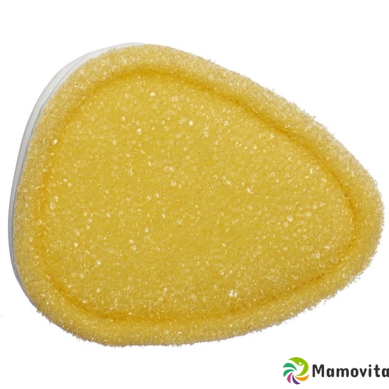 Sherteme Backhelp Exfoliating Sponge buy online