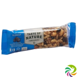 Taste Of Nature Riegel Blueberry 40g