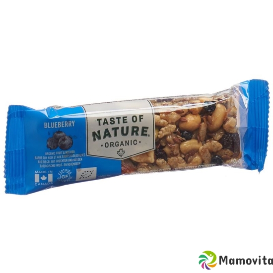 Taste Of Nature Riegel Blueberry 40g buy online