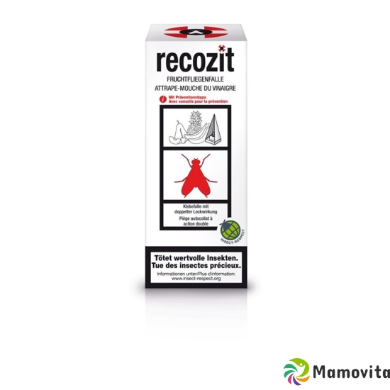 Recozit fruit fly trap buy online