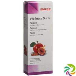 Morga Wellness Drink Feigen 380ml