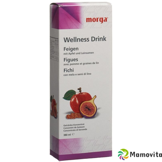 Morga Wellness Drink Feigen 380ml buy online