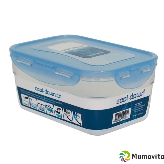 Cool Down food storage container 1800ml buy online