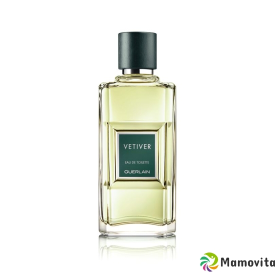 Guerlain Vetiv Eau de Toilette Spray 100ml buy online