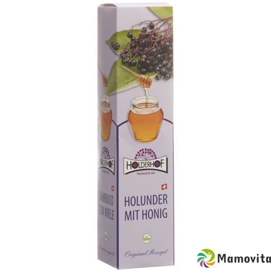 Holderhof Holundersaft mit Honig Bio Pet 5dl buy online