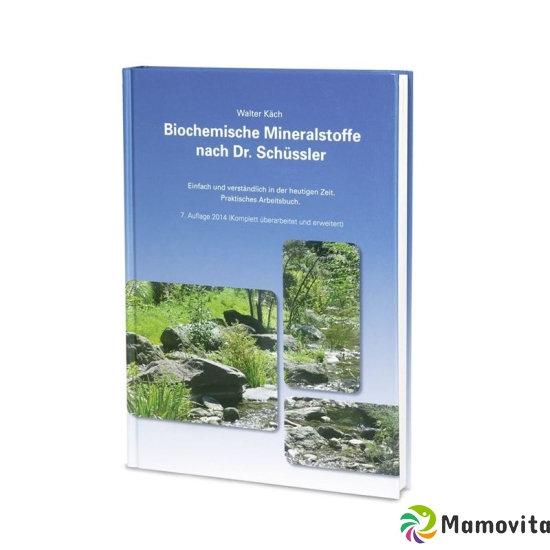 Biochemische Mineralstoffe Dr.schuessler Von W.kae buy online