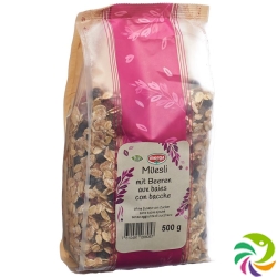 Holle Müesli mit Beeren Bio 500g