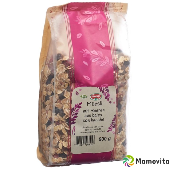 Holle Müesli mit Beeren Bio 500g buy online