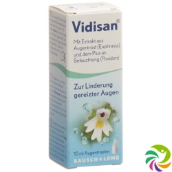 Vidisan Augentropfen Flasche 10ml