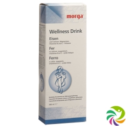 Morga Wellness Drink Eisen 380ml