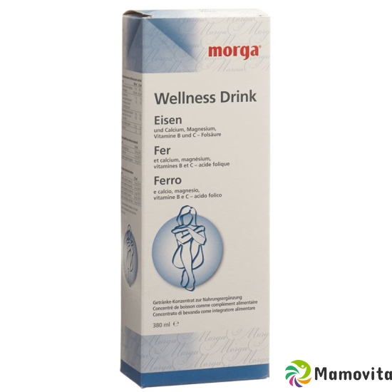 Morga Wellness Drink Eisen 380ml buy online