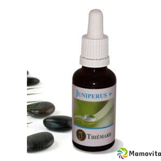 Thiemard Juniperus+ Tropfen 30ml buy online