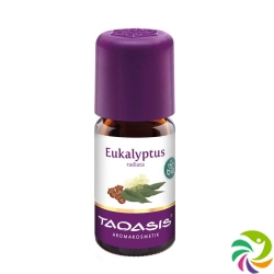 Taoasis Eukalyptus Radiata Ätherisches Öl Bio 5ml