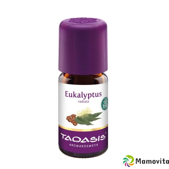 Taoasis Eukalyptus Radiata Ätherisches Öl Bio 5ml buy online