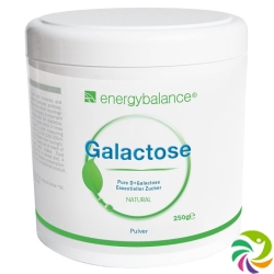 Energybalance Galactose Pulver Hochrein Dose 250g