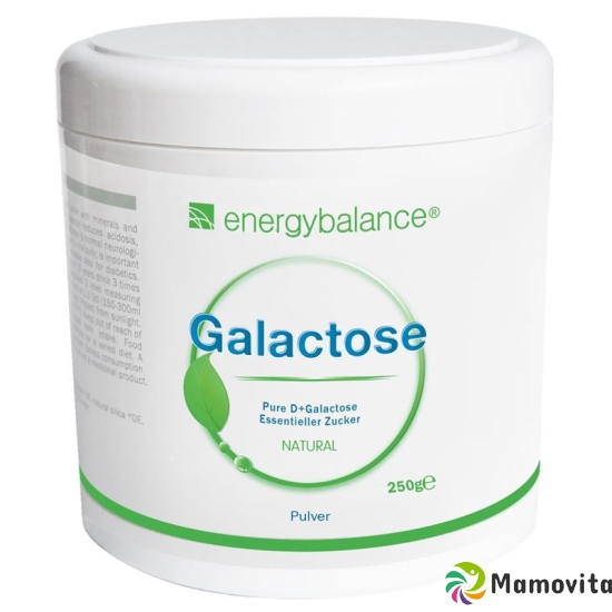 Energybalance Galactose Pulver Hochrein Dose 250g buy online