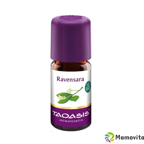 Taoasis Ravensara Ätherisches Öl Bio 5ml buy online