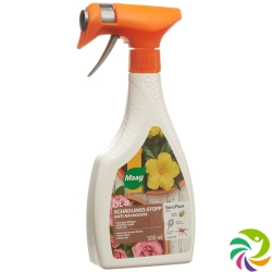 Sanoplant Spray Flasche 500ml