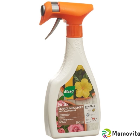 Sanoplant Spray Flasche 500ml buy online