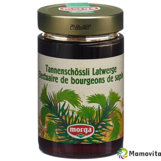 Morga Tannenschössli-Latwerge 375g buy online