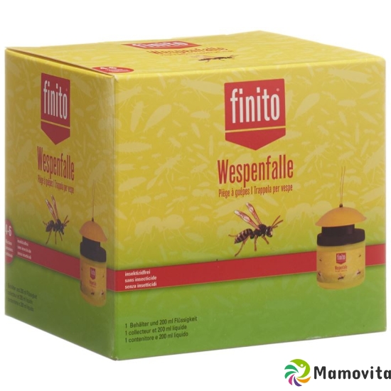 Finito wasp trap buy online