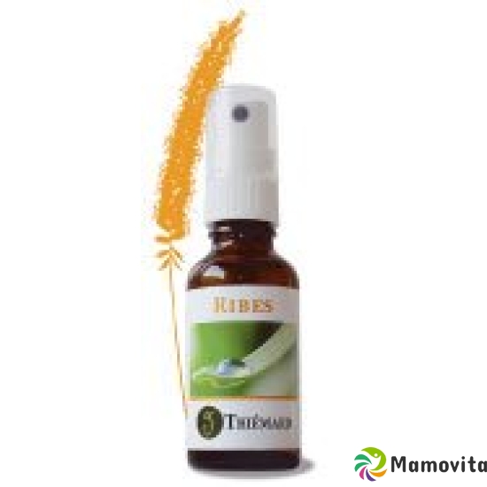 Thiemard Ribes Spray 30ml buy online