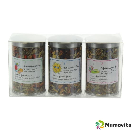 Herboristeria Set of 3 Tea Tins Pleasure Tea buy online