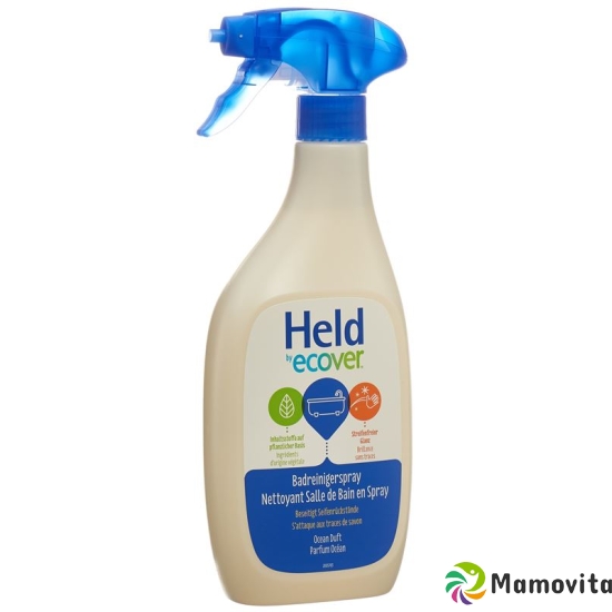 Held Eco Badreiniger Spray 500ml buy online