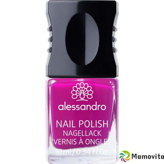 Alessan Nagellack ohne Verp 51 Purple S 10ml buy online