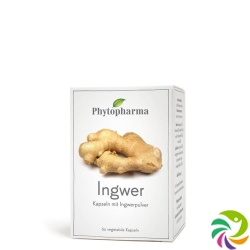 PhytopharmaGinger Capsules 60 Caps