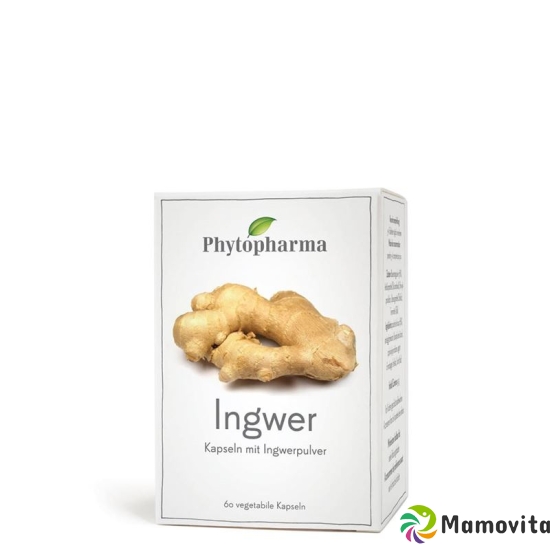 PhytopharmaGinger Capsules 60 Caps buy online