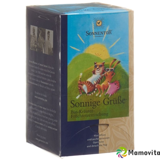 Sonnentor Sonnige Gruesse Doppelkammer 18x 2.5g buy online