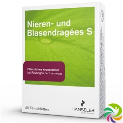 Nieren Blasen Dragee S 60 Stück