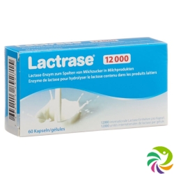 Lactrase Kapseln 12000 60 Stück