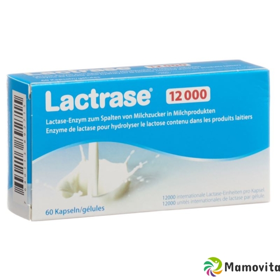 Lactrase Kapseln 12000 60 Stück buy online